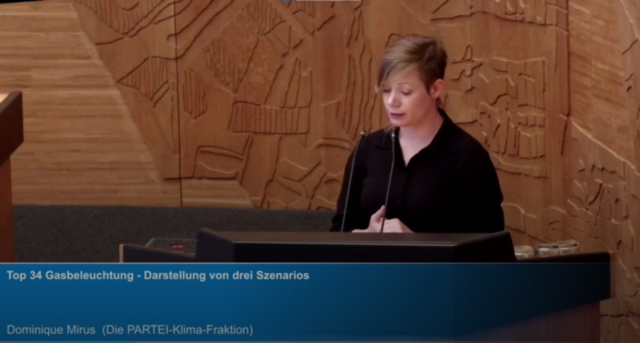 Das Foto zeigt einen Screenshot aus dem Livestream der Stadtratsitzung vom 07.09.2023 und fokussiert sich auf Ratsfrau Mique Mirus.