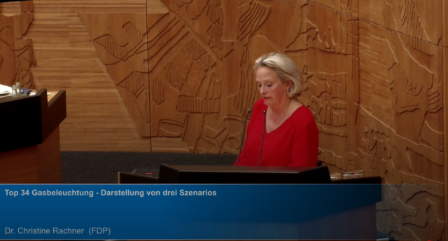 Frau Dr. Christine Rachner (FDP) bei ihrer Rede im Stadtrat