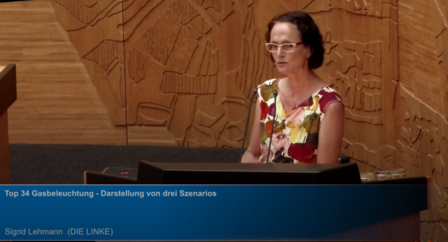 Frau Sigird Lehmann (Die Linke) bei ihrer Rede im Stadtrat
