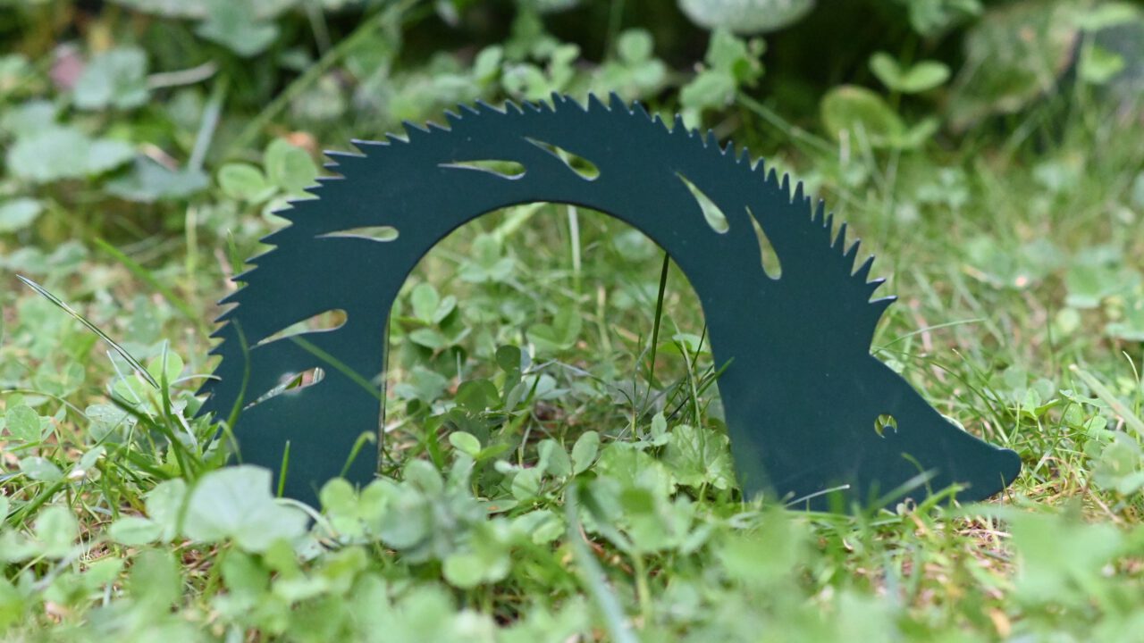 Mehr Schutz für Igel – Nachtfahrverbot für Mähroboter