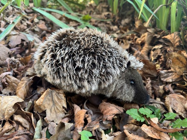 Zu sehen ist ein Stoffigel, der fast wie ein echter Igel aussieht, auf von Laub bedeckter Erde.